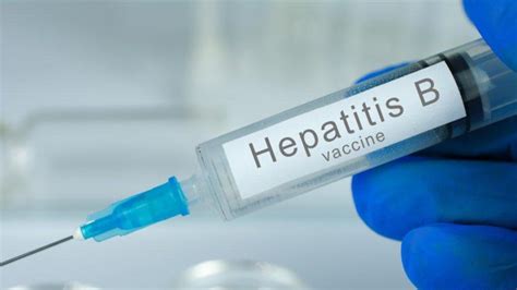 hepatit b aşısı ömür boyu korur mu